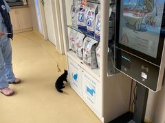 -芭比堂动物医院·犬猫全科·异宠专科(雁塔分院)