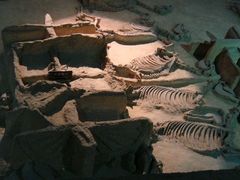 -洛阳周王城天子驾六博物馆