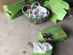 -马陆小张葡萄园农家乐