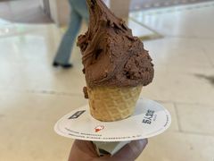 -野人先生现做冰淇淋(北京悠唐购物中心店)