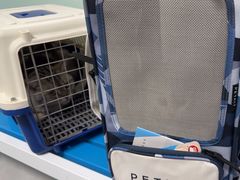 -达爱动物医院·犬猫分区·CT·复杂眼科(远洋山水分院)