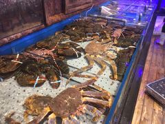 水产区-开海·红岛海鲜虾水饺(石老人店)