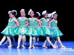 -星光舞蹈艺术中心•芭蕾舞•中国舞(太阳宫校区)