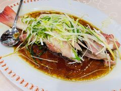 -凤城礼记鱼翅海鲜酒家(新马路总店)