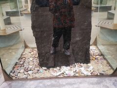 -陕西自然博物馆