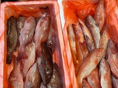 -海峡水产品交易中心(海鲜交易区)