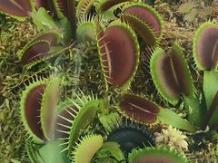 -国家植物园南园