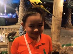 -清迈夜间动物园