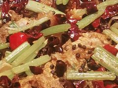 老板恋上鱼-老板恋上鱼(荣盛广场店)