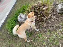 -西北湖绿化广场