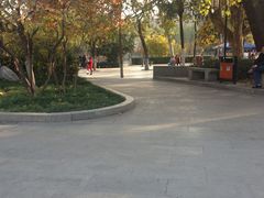 -莲湖公园