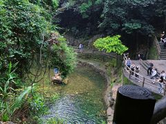 -鼎湖山风景区