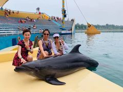 -秦皇岛乐岛海洋王国