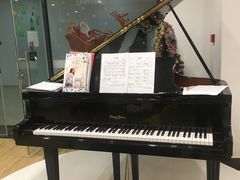 -珠江钢琴艺术中心(文一路店)