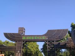 -溱湖国家湿地公园