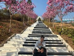 -盈香心动乐园