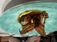 -许家菜.艺创菜(仁和新城店)