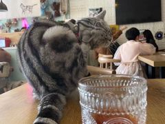 -平行世界·猫咖(首经贸店)