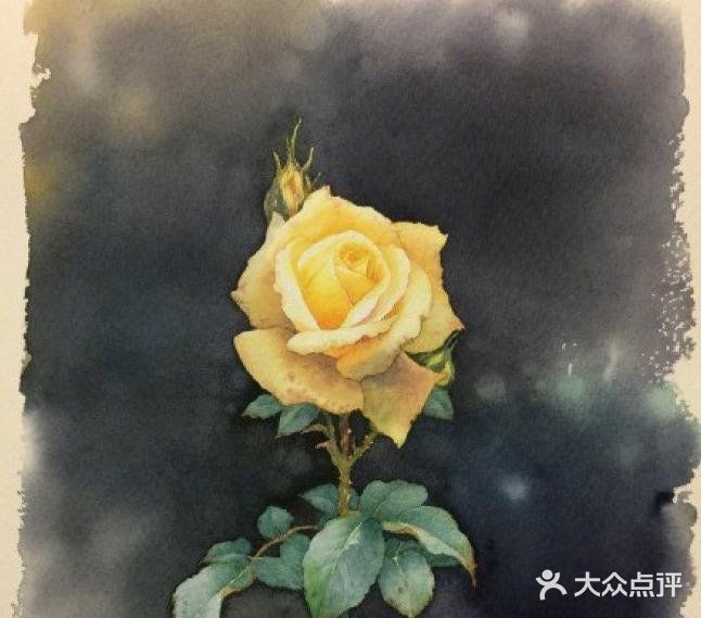 水彩画作品欣赏：精湛的月季花画💓💓
