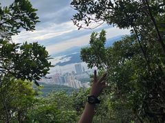 -梧桐山风景名胜区