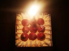 -FASHION BAKERY法森贝克(新德路店)