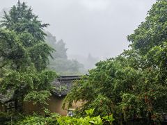 -杨家堂村