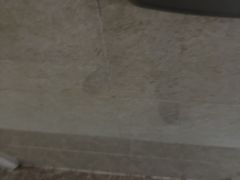 -巢爷老味(东方红店)