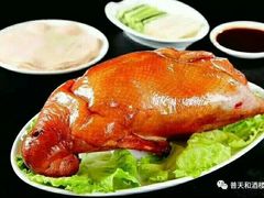 -普天和酒楼·新津菜·烤鸭(天津之眼店)