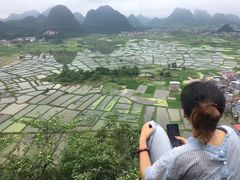 -会仙湿地