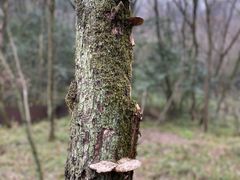 -西湖风景区-江洋畈生态公园