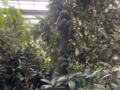 -呀路古热带植物园