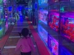-朝来春花卉市场
