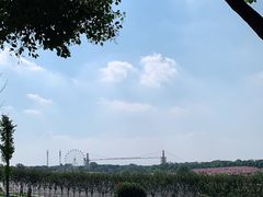 -花博汇(知音花月夜)