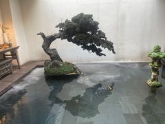 -觀芷隐轩