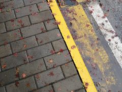 -梁鸿国家湿地公园