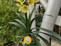 -北京植物园-展览温室