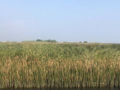 -苏州太湖国家湿地公园