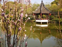 -上海醉白池公园