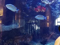 -横琴湾水世界
