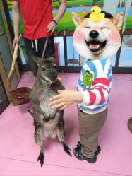 -未来动物城动物主题公园(大悦城店)