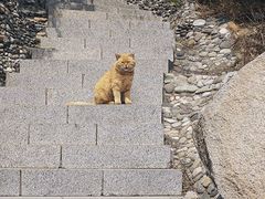 -北京凤凰岭