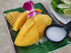 -Jungle Kitchen