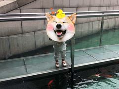 -陕西自然博物馆