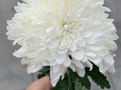 -侵华日军南京大屠杀遇难同胞纪念馆