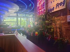 -bluefrog蓝蛙(皇庭广场店)