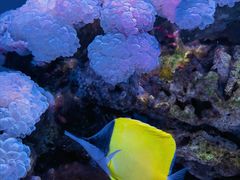 -多彩贵州城极地海洋世界