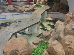-春盛渔府(牛首山店)
