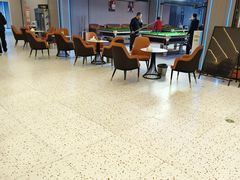 -刘莎莎台球俱乐部