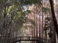 -同里国家湿地公园