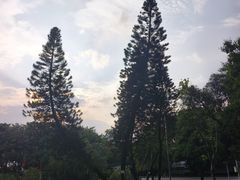 -荔湾湖公园